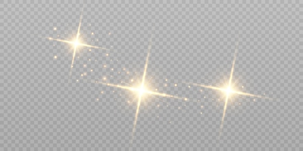 The dust sparks and golden stars shine with special light. Vector