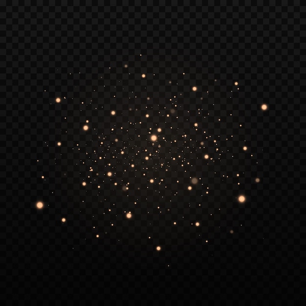 Le scintille di polvere e le stelle dorate brillano di una luce speciale