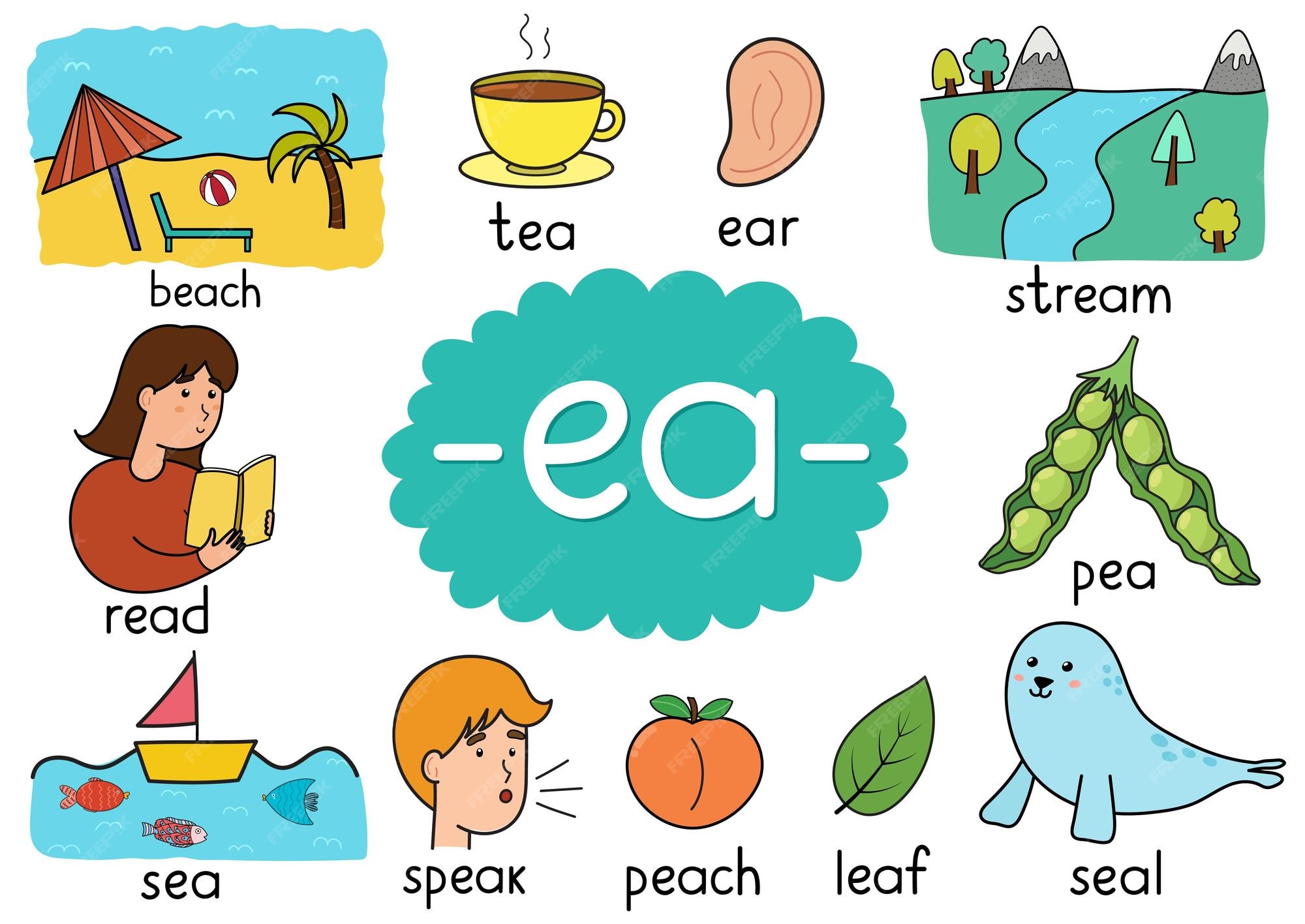 Premium Vector | Ea digraph spelling rule educational poster for kids ...