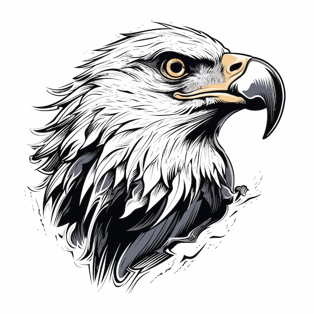 eagle artwork for apparel