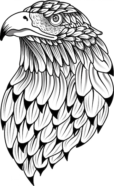 Eagle bird head zentangle stylized doodle