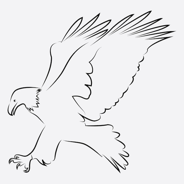 eagle bird line art