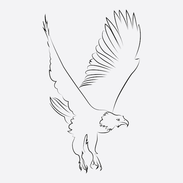 eagle bird line art