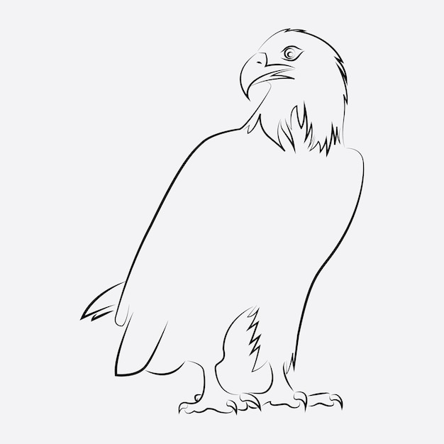 eagle bird line art