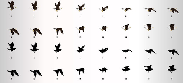 Vector eagle flying cycle animation sequence vector