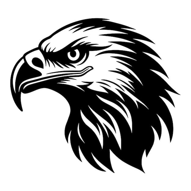 eagle head bird wild animal illustration for symbol