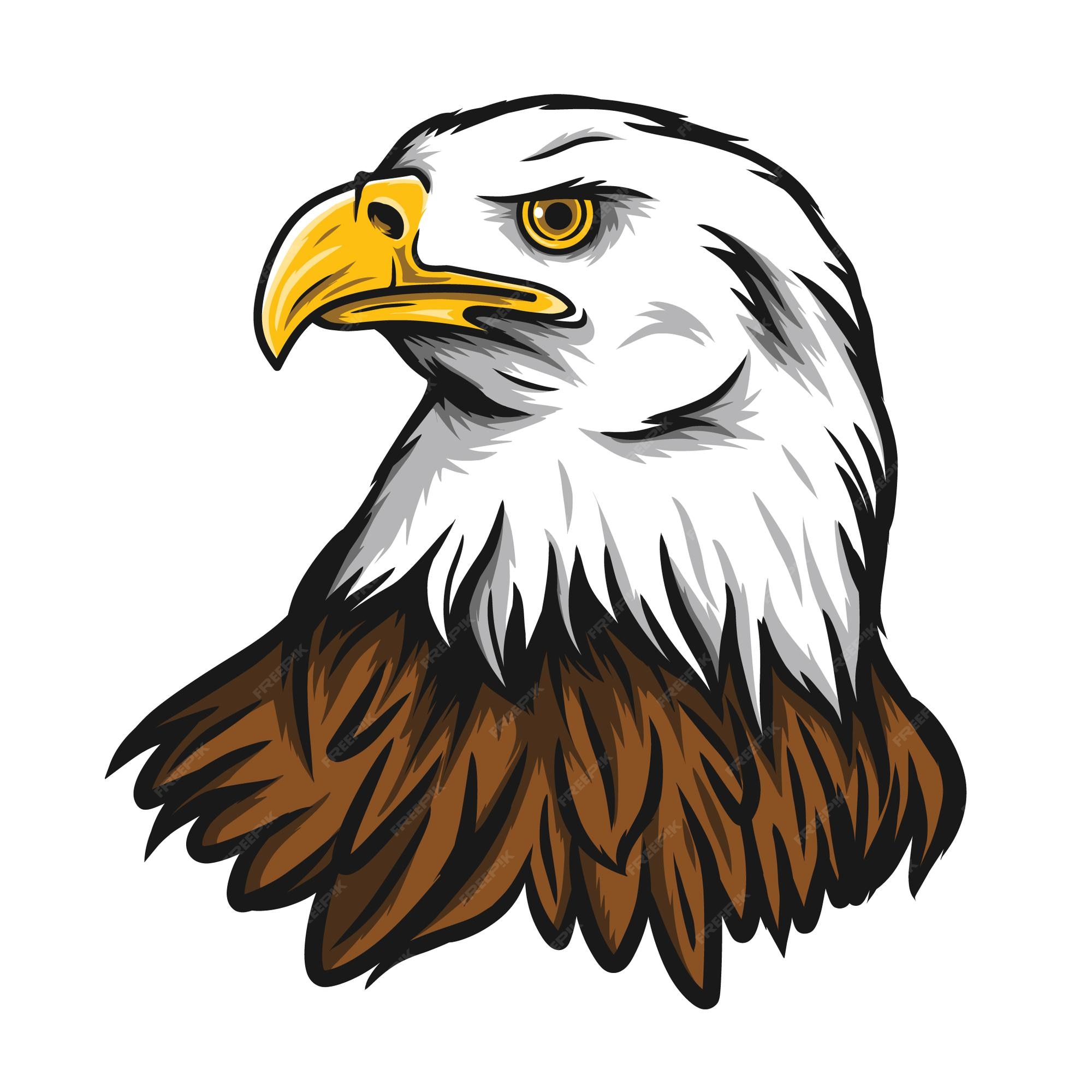 cartoon eagle drawing