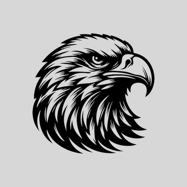 Vector eagle head isolated on gray background eagle head vector illustration