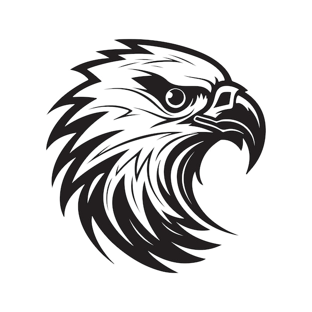 Eagle head vector concept digital art hand drawn illustration