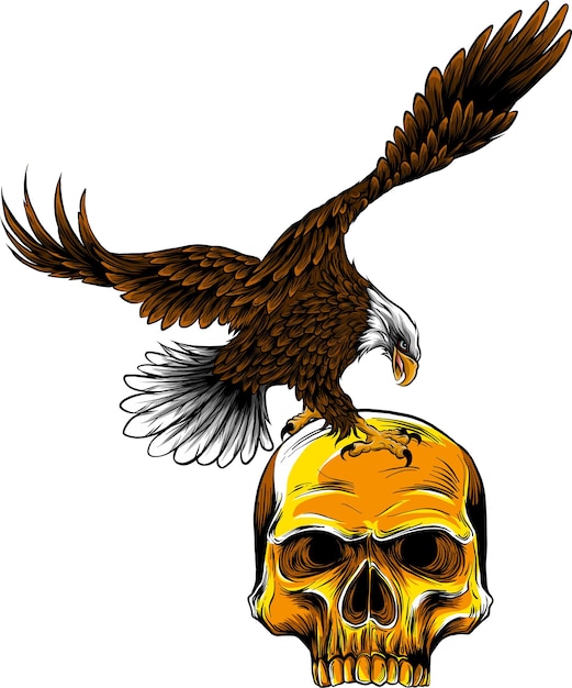 Eagle on human Skull vector illustration design
