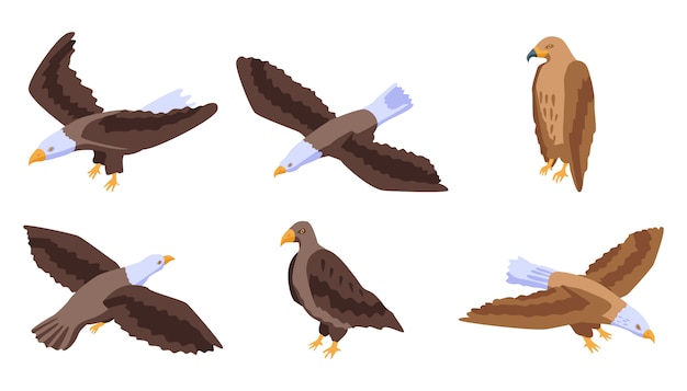 Eagle iconen set, isometrische stijl