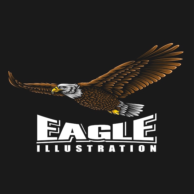 Eagle  illustration