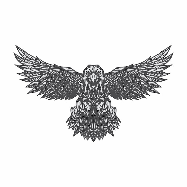 Eagle illustration