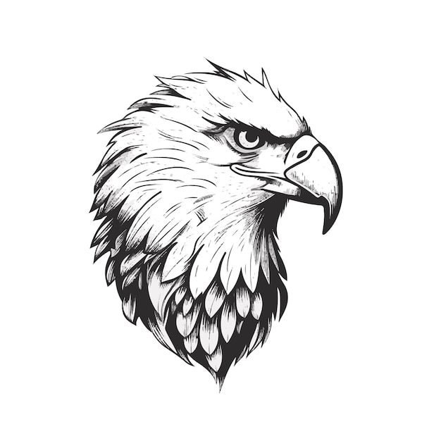 Vector eagle majesty striking vector illustration of the bald eagle