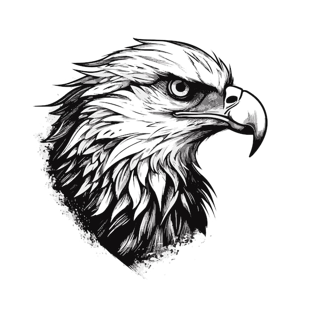 Vector eagle majesty striking vector illustration of the bald eagle