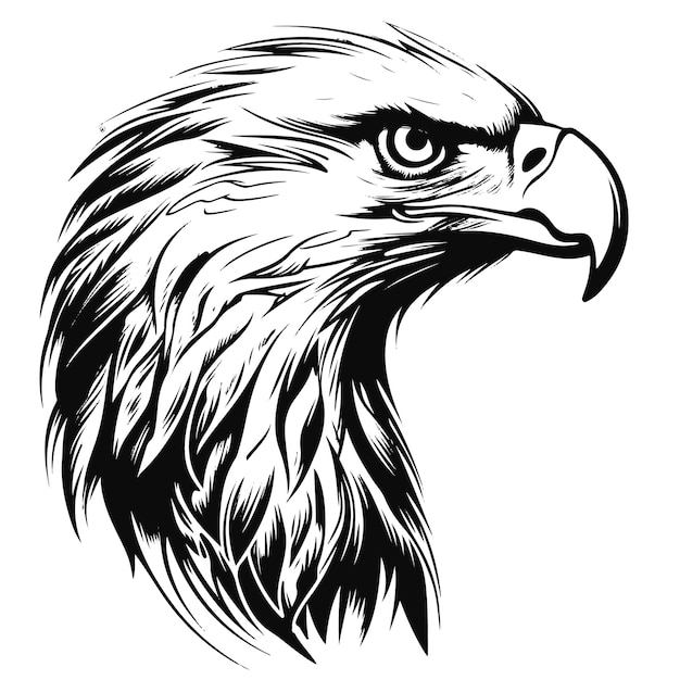 Вектор Поразительная векторная иллюстрация белоголового орлана eagle majesty