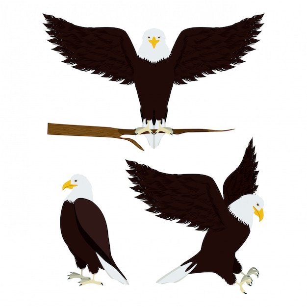 Eagle ontwerp