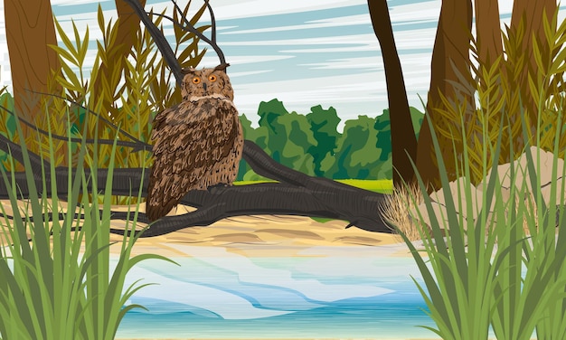 Eagle owl sits on a fallen tree on the river bank Wild birds of the forest Realistic vector