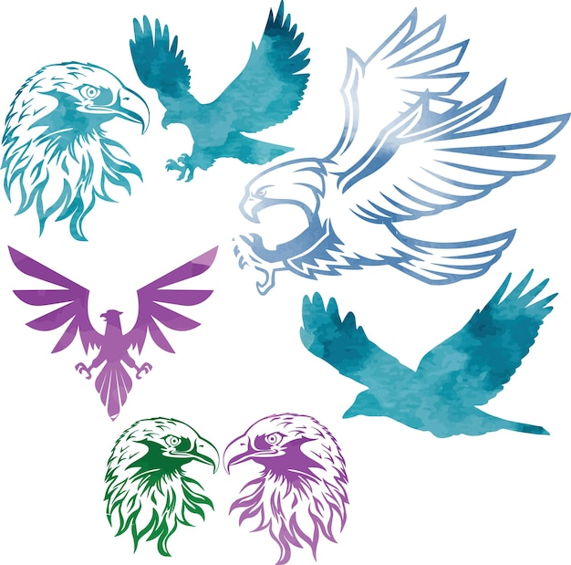 Eagle pack wild animal hunter vector watercolor