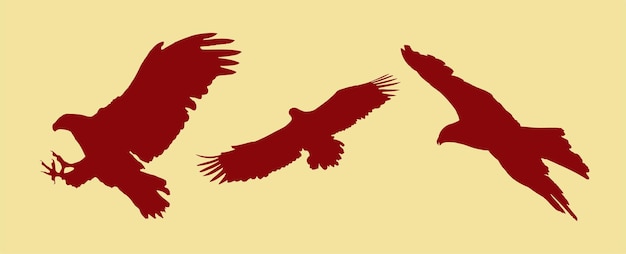 Eagle silhouette collection