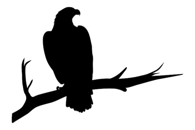 Eagle on tree branch silhouette isolated on white background Vector illustration