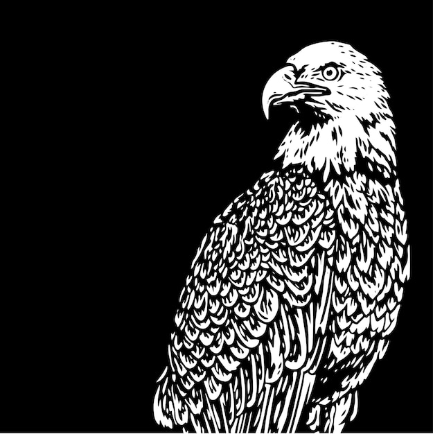 Eagle vector art