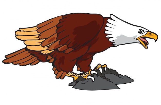 Eagle vector illustratie