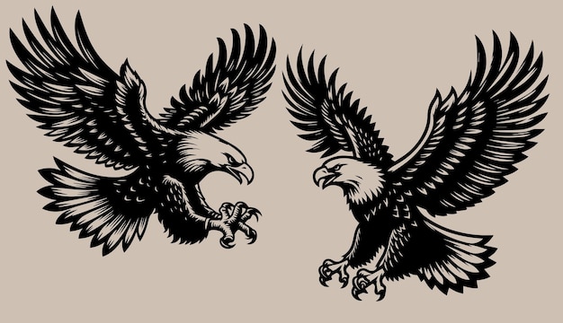 Eagle Vector illustration of an eagle Tattoo design