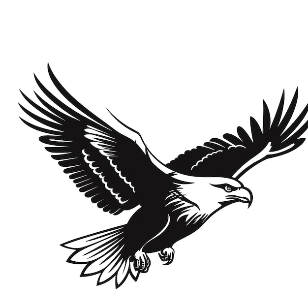 Eagle vector illustration