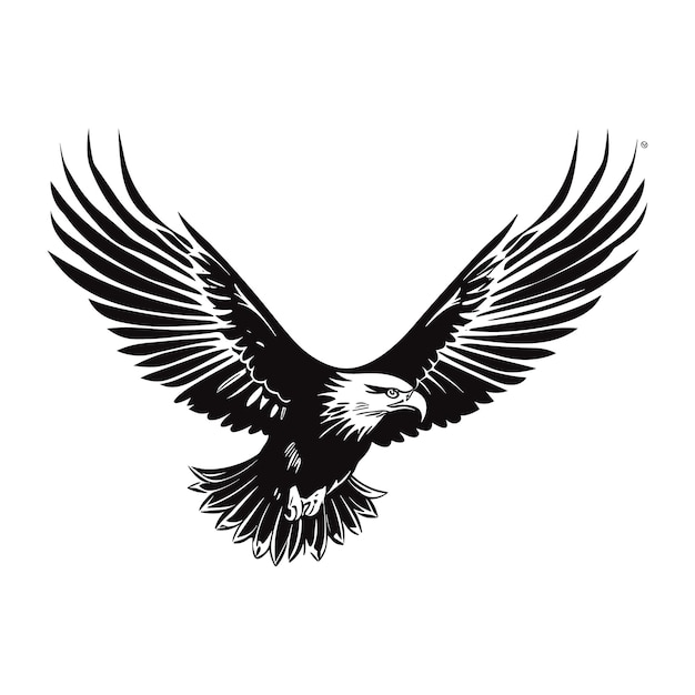 Eagle vector illustration