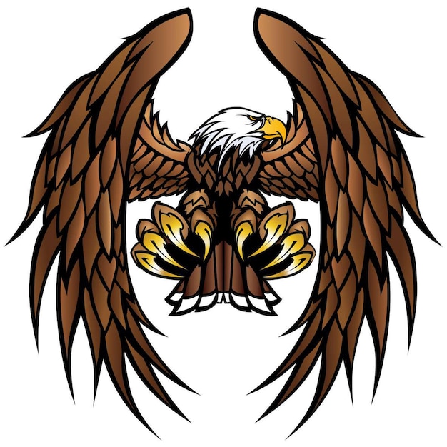 Vector an eagle with a bald eagle on its head