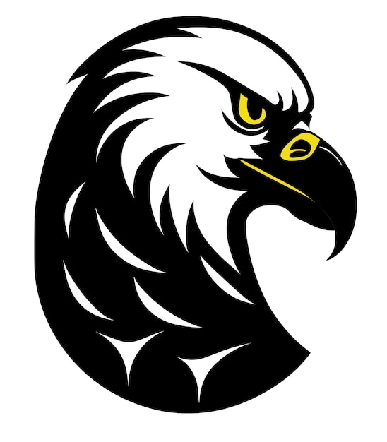 An eagle with a yellow eye and a black and white head.