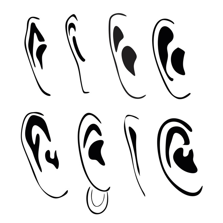 Ear model drawing handmade silhouette
