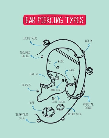 Premium Vector | Ear piercing diagram top different types of ear ...