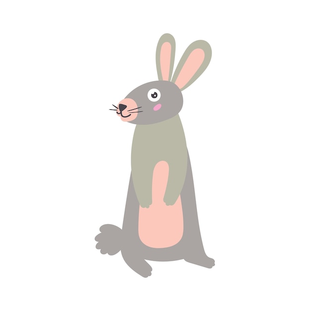 Eared hare