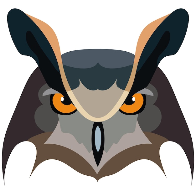 Eared owl Colored graphic portrait of an owl on a white background vector drawing