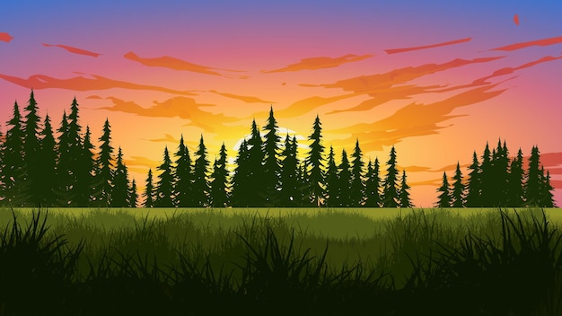 Vector early morning sunrise over pine forest with meadow