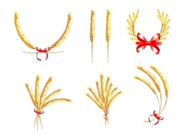 ベクトル 小麦オーツ麦ライ麦と大麦の穂