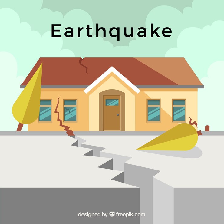 Vector earthquake design