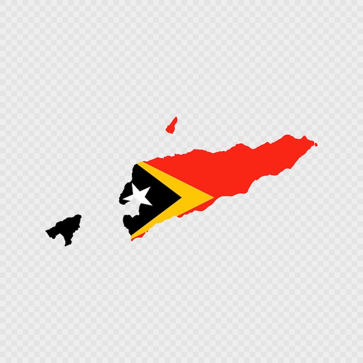 Vector east timor map silhouette with flag
