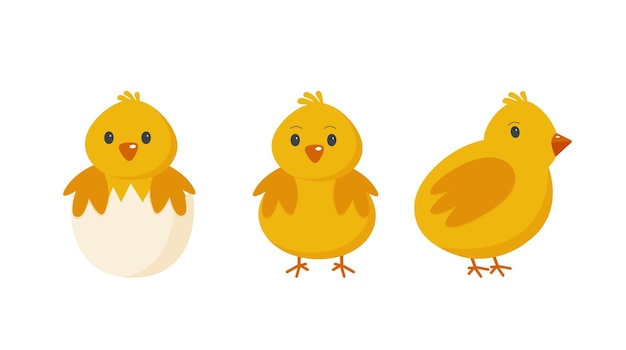 easter chickens cartoon style on a white background eps 10
