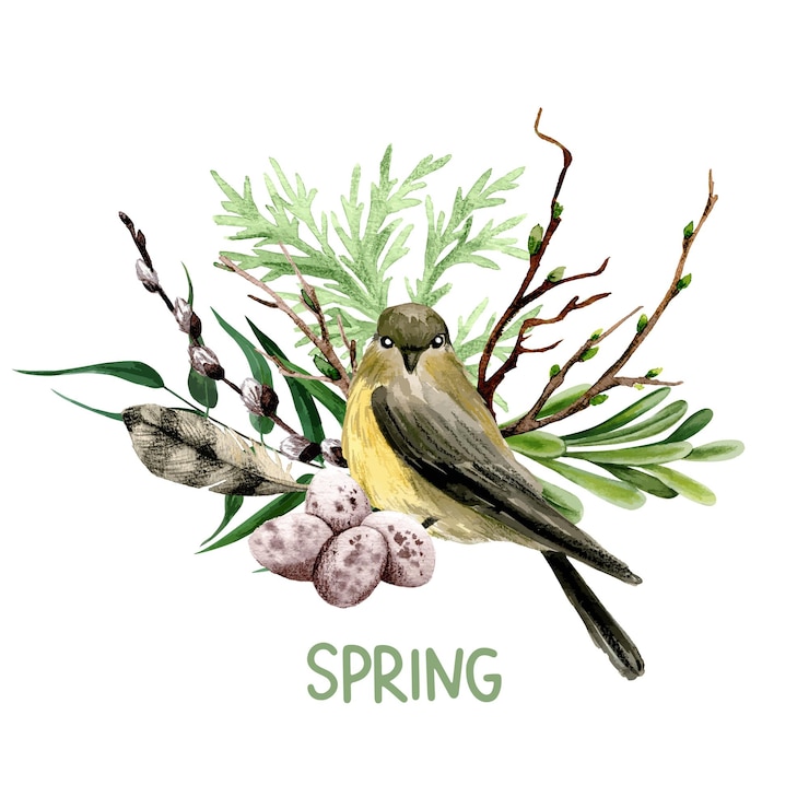 Vector easter composition with willow, bird and feather. hand drawn   watercolor illustration.