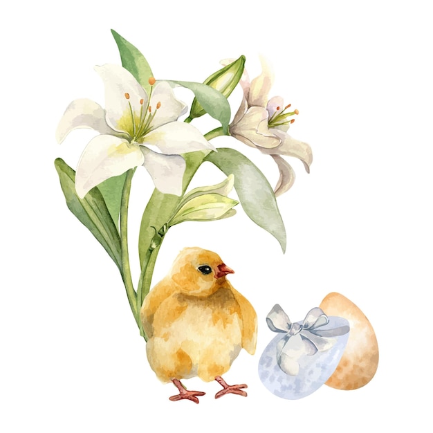 Vector easter eggs chicken and white flowers watercolor illustration isolated on white background eggs with colorful ribbons and lilies hand drawn painted bird composition for design easter decoration