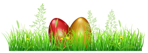 Easter eggs in green grass with dandelions and spikelets on white