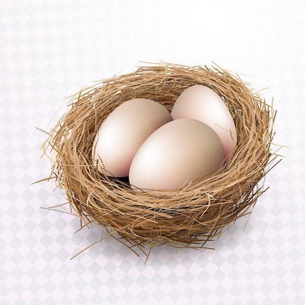 Easter eggs in a nest isolated design element