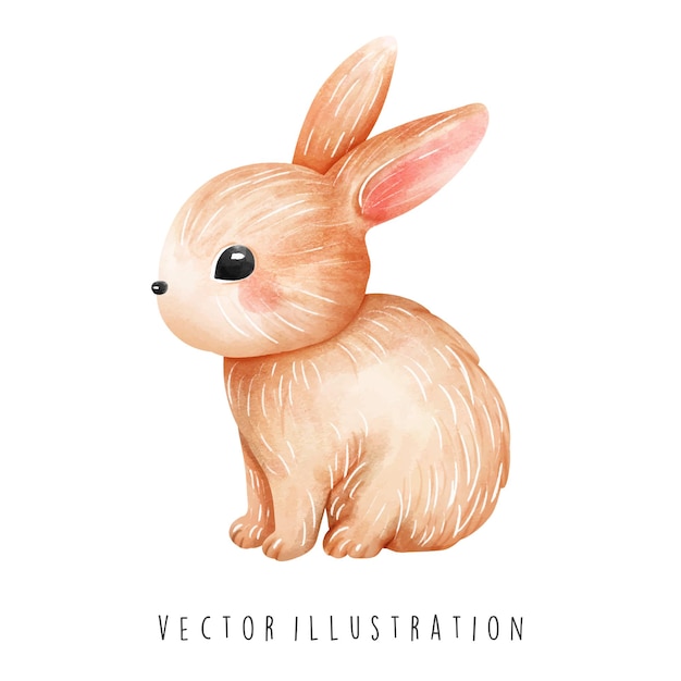 easter rabbit illusaraton