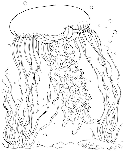Vector easy jellyfish coloring page