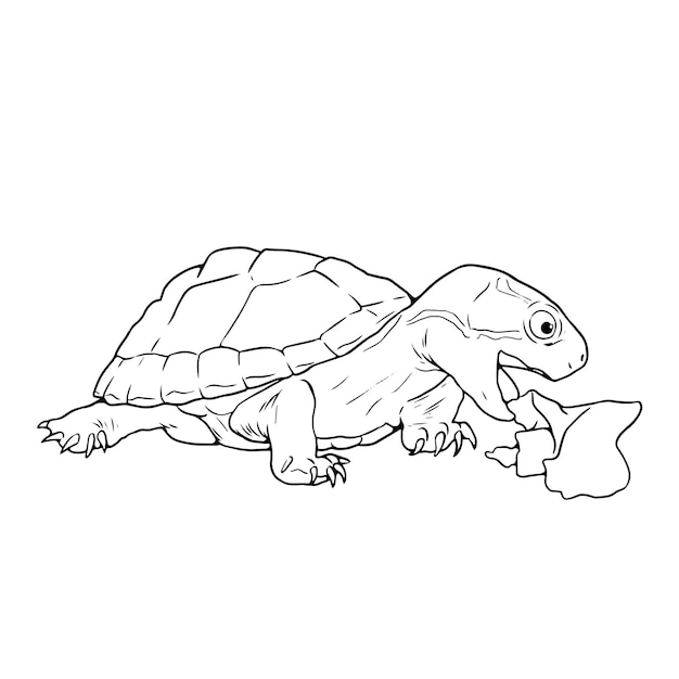 動物園の動物たちを黒と白で描いた絵本のページ