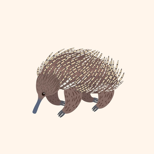 Echidna Australian wild animal Vector illustration