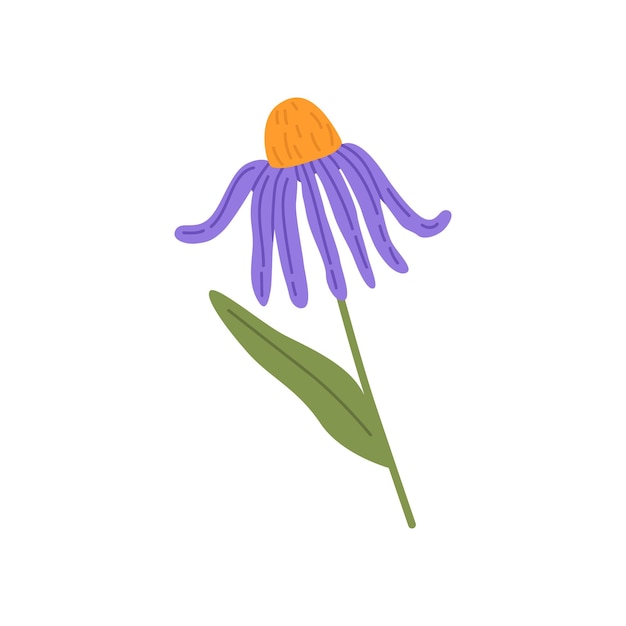 Цветок эхинацеи дикое травяное растение эхинацеи цветущая цветочная трава с листом пыльцы и лепестками свежесрезанный полевой цветок плоская векторная иллюстрация на белом фоне